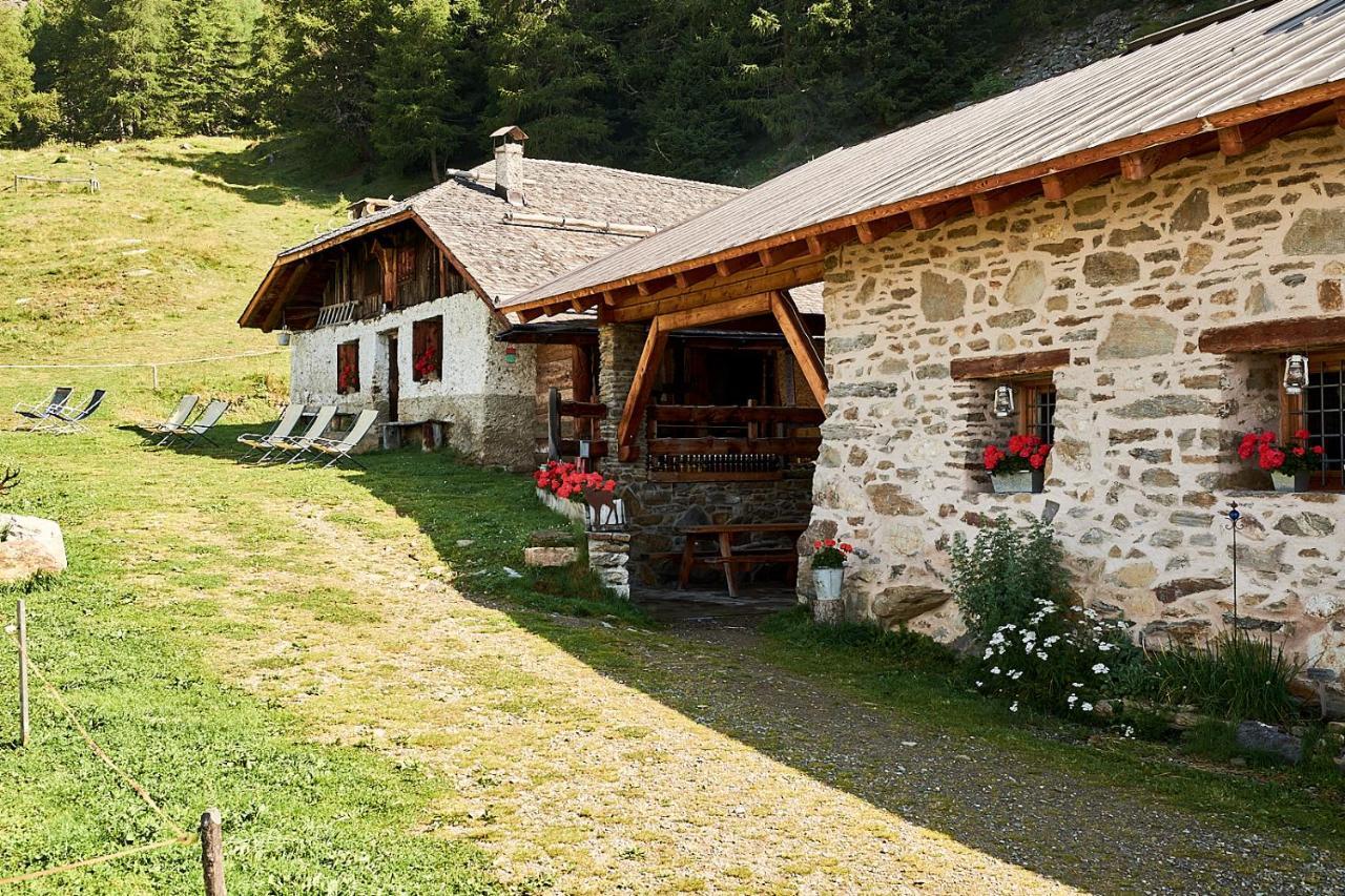 Nestalp Malga Campo Βίλα Peio Εξωτερικό φωτογραφία